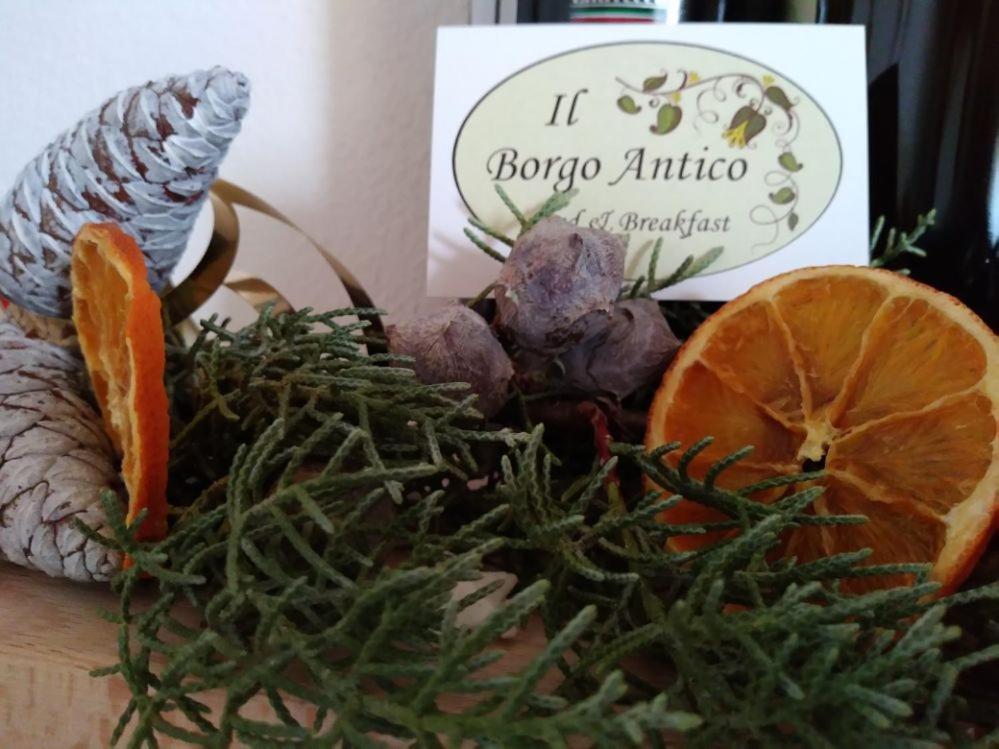 Il Borgo Antico B&B 阿尔塔穆拉 外观 照片