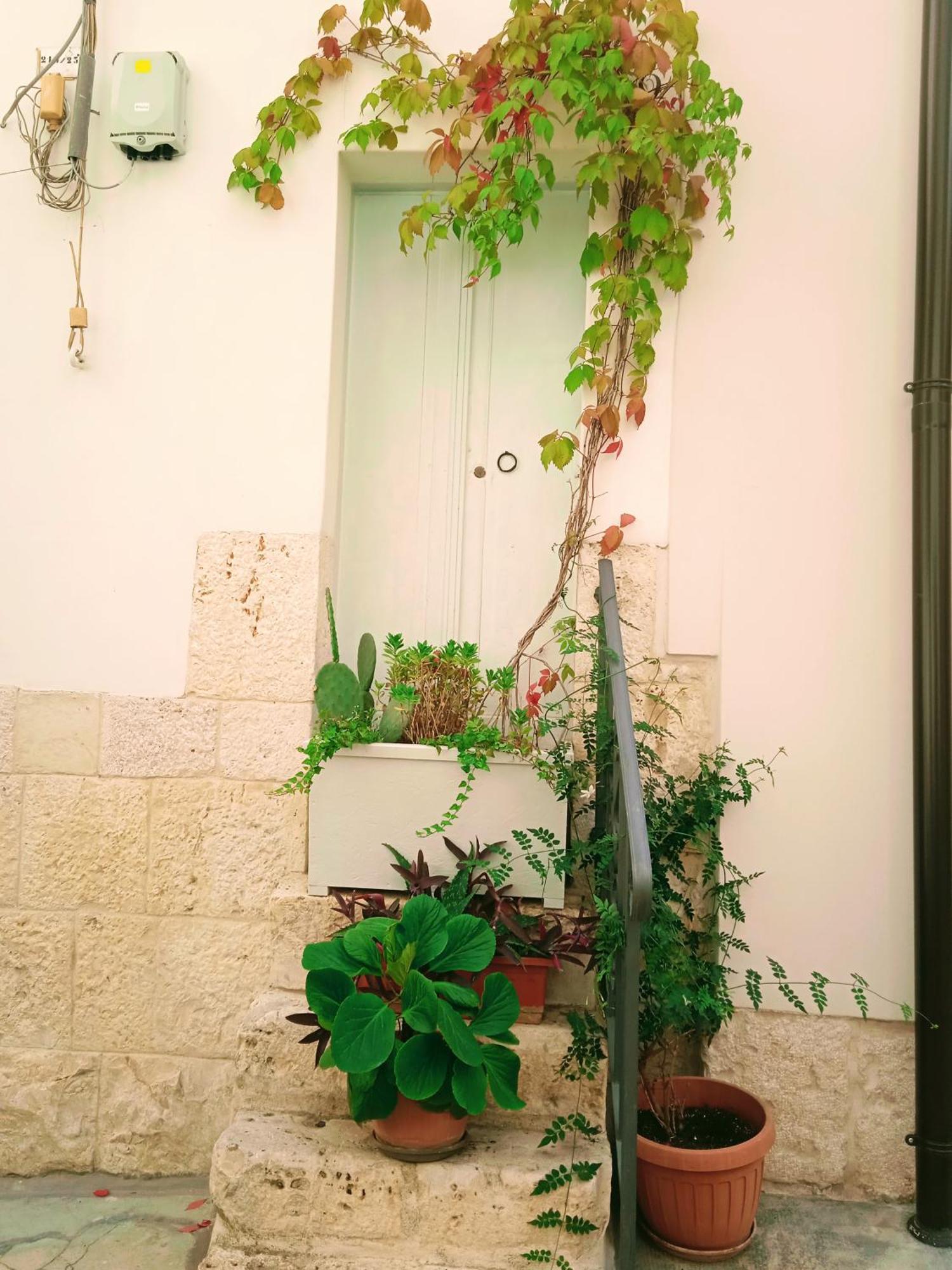 Il Borgo Antico B&B 阿尔塔穆拉 外观 照片